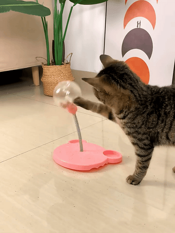 Cat playing with Food Dispenser Toy