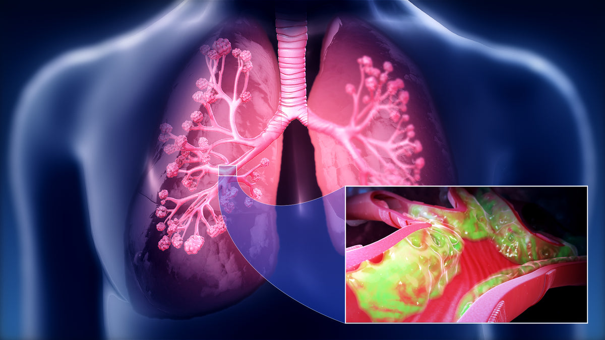 lungs diagram