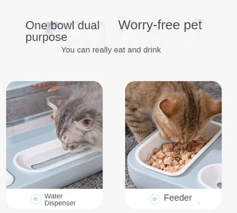 Convenient feeding for pet with one bowl 2 purpose