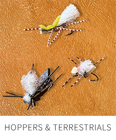 hoppers and terrestrials