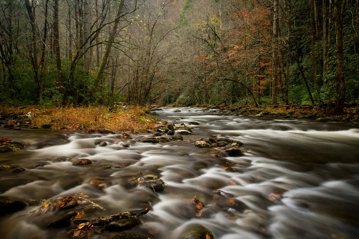 Great Smoky Mountains National Park