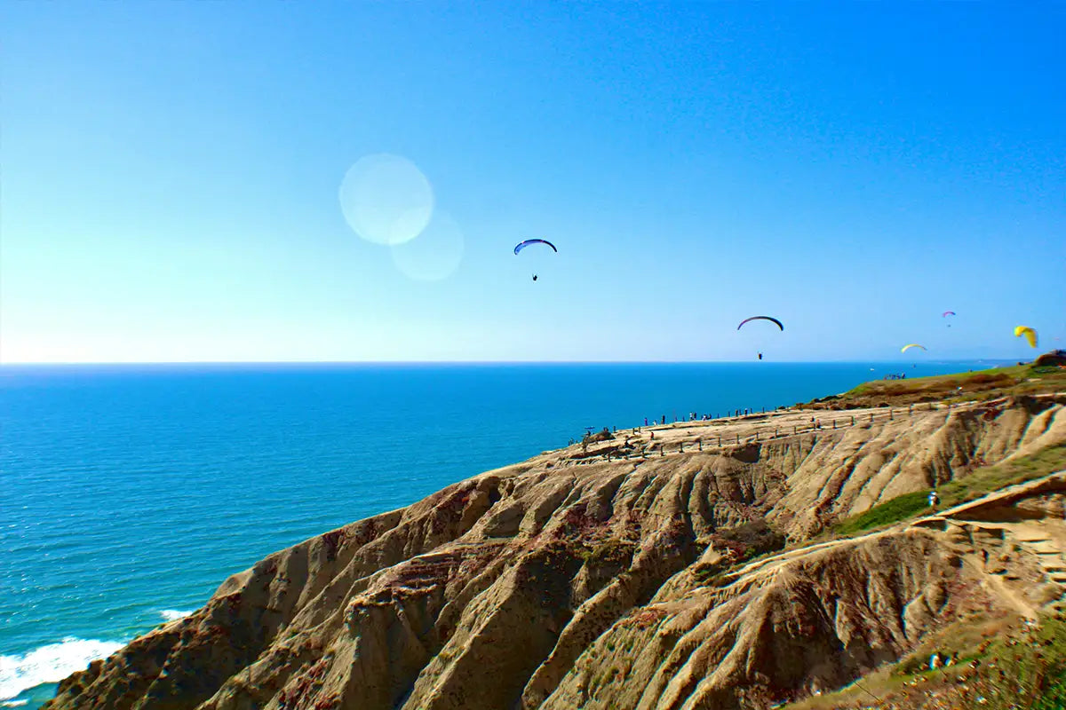 Paragliders soaring over the rugged cliffs of Torrey Pines State Reserve in San Diego, California, with a vibrant blue ocean backdrop on a sunny day. Photo by Micah Fluhart.