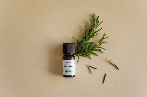 How to Make Rosemary Oil?