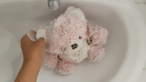 teddy bear plushie getting handwashed