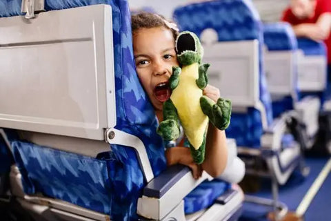 girl hugging plushie, theyre in a plane