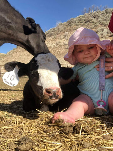 Baby sitting next to cow