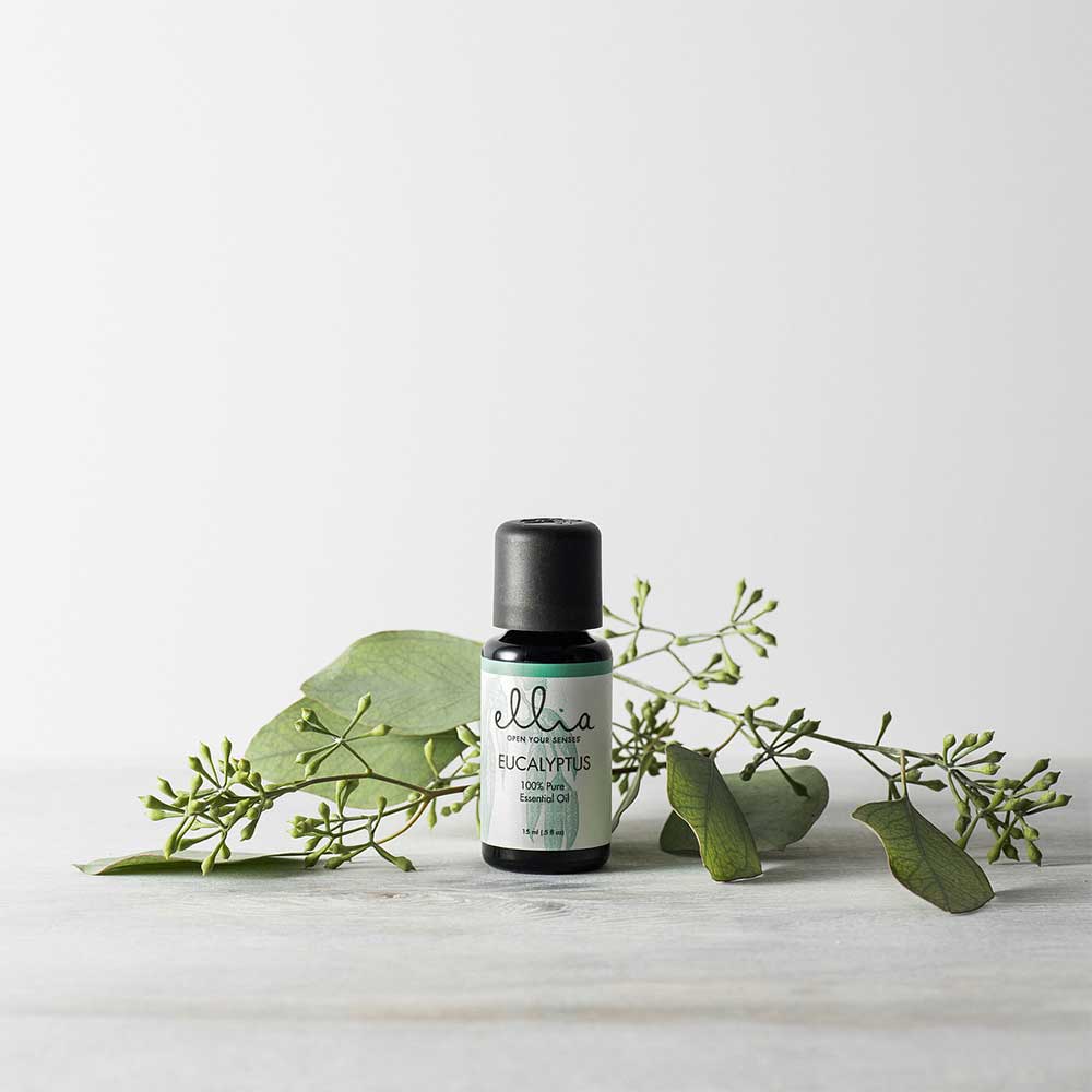 Picture of Essential Oil Eucalyptus