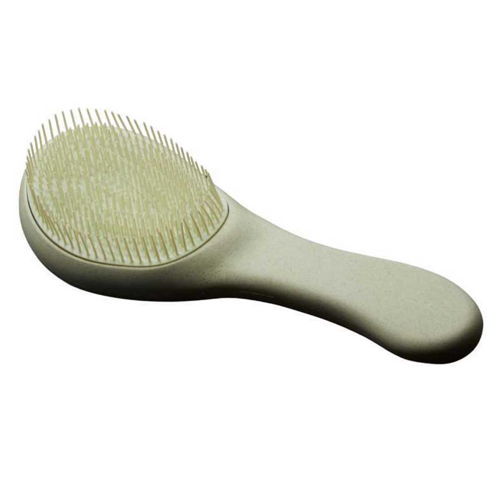 Eco Brush Mint