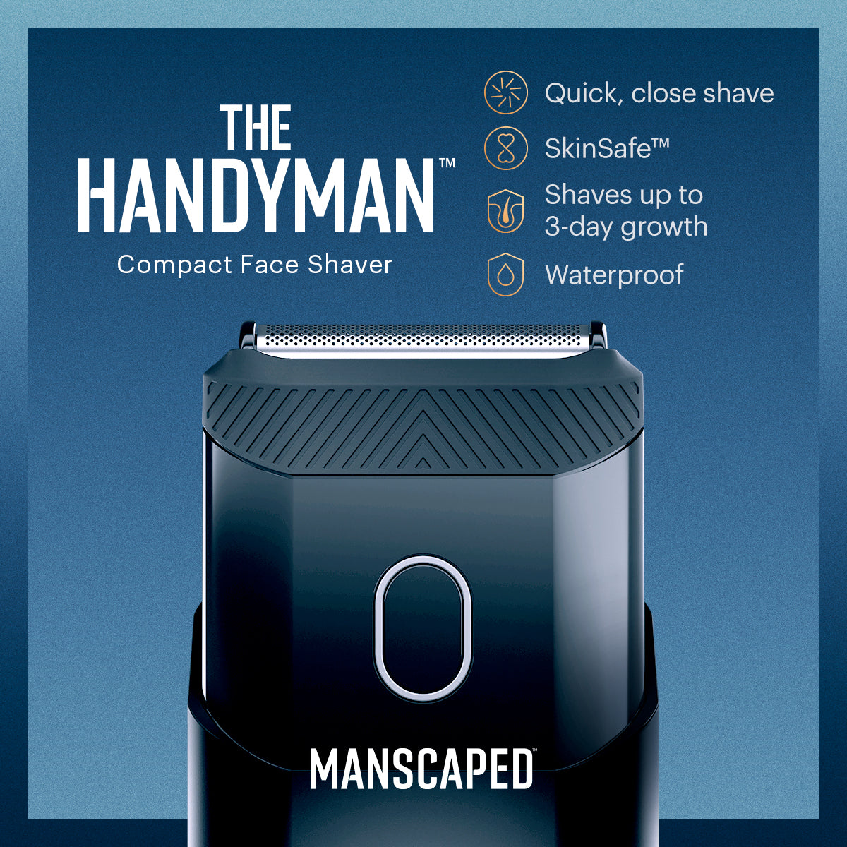 Picture of The Handyman