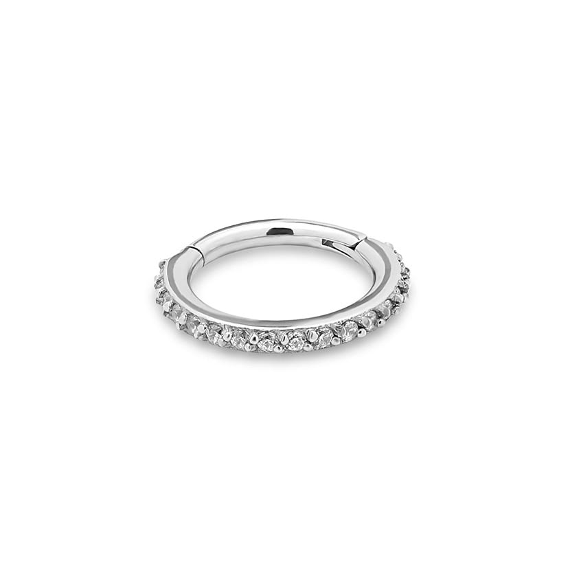 Picture of Titanium Jewelled Hinged Segment Ring Earring - 8mm Labret