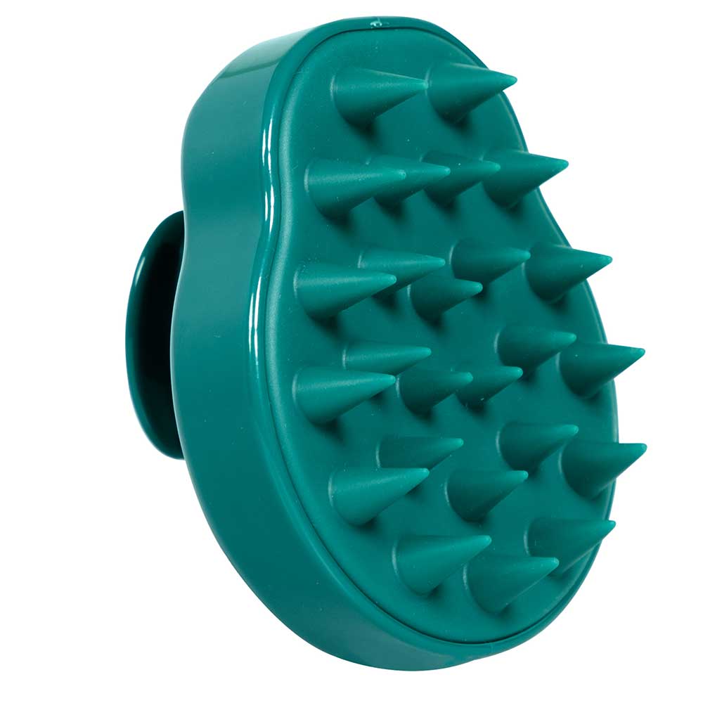 Picture of Hair Shampoo Brush