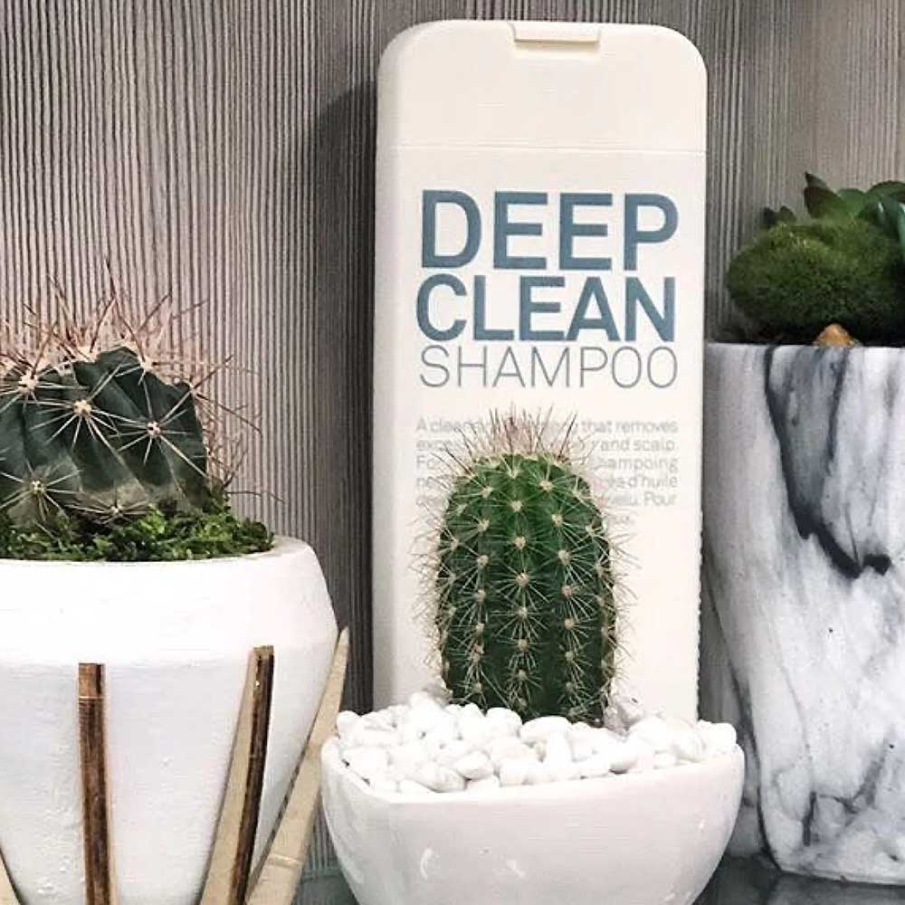 Picture of Deep Clean Shampoo SF 300ml