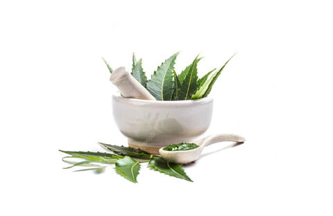 Incorporate Herbs into Your Health Regimen