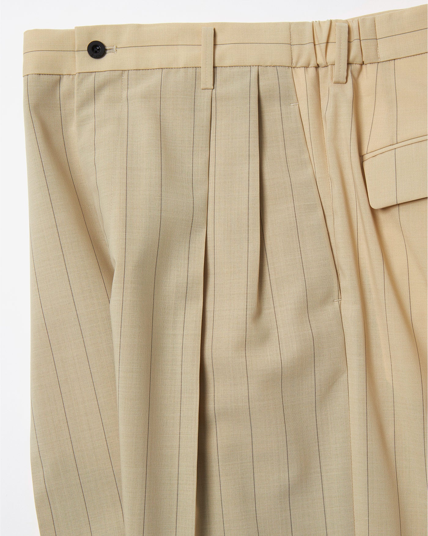 TWO TUCKS WIDE PANTS – IRENISA