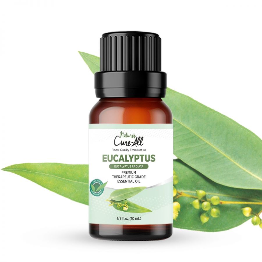 Eucalyptus Essential Oil