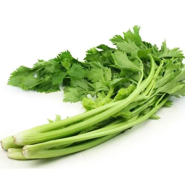 Chinese Celery 20 LB / Case