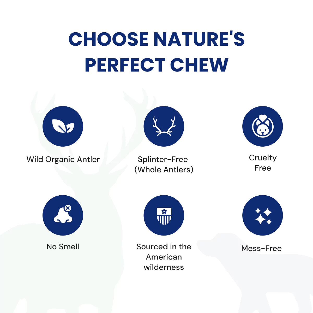 Premium Wild Elk Antlers