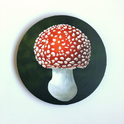 Champignon rouge