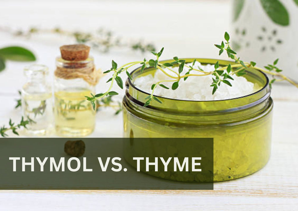 Thymol vs. Thyme