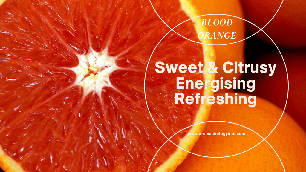blood orange essential oil benefits, blends and uses
