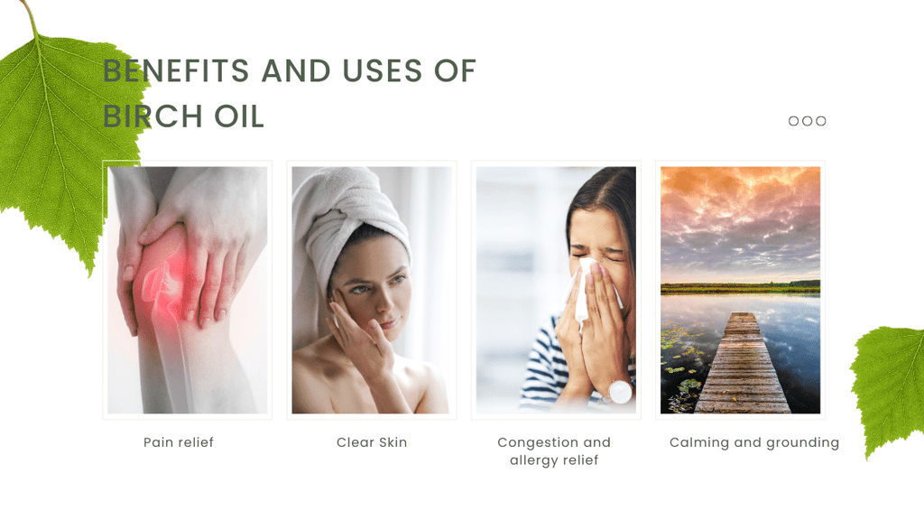 Complete list of benefits and uses of birch oil