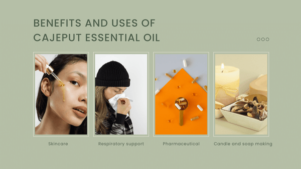 cajeput essential oil benefits and uses