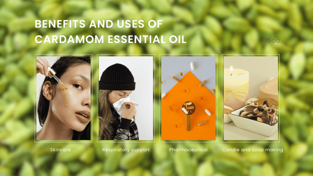 cardamom essential oil benefits and uses