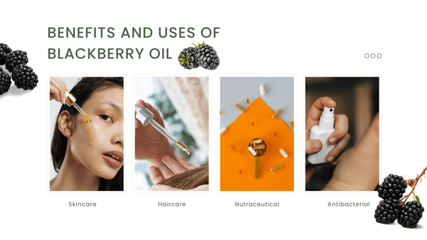 benefits and uses of organic virgin blackberry essential oil