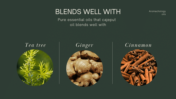 what essential oils cajeput blends well with