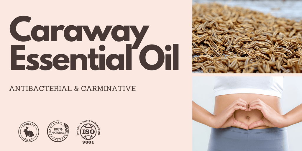 What is Caraway essential oil used for