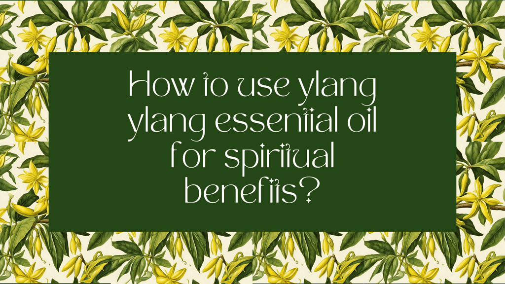 how to use ylang ylang essential oil for spiritual benefits