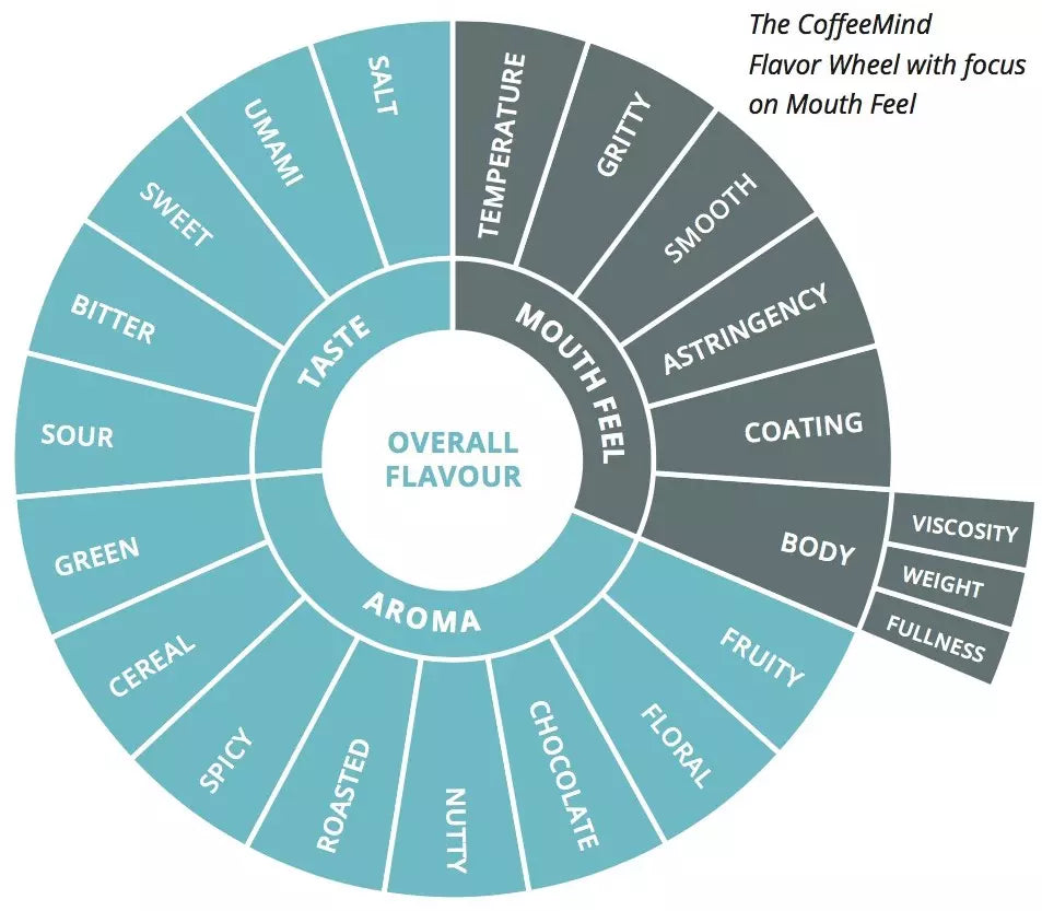 Coffee taster flavour wheel aroma taste mouthfeel