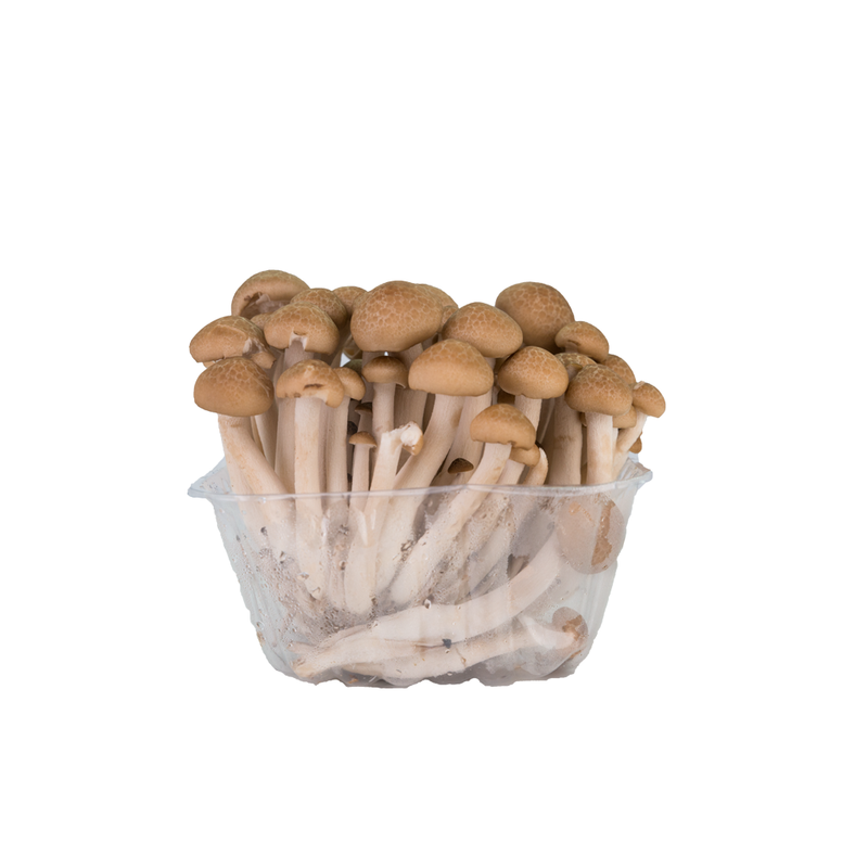 shimeji mushrooms