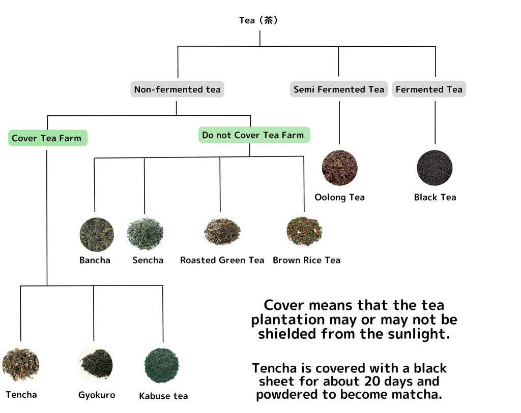 Types of Japanese Tea