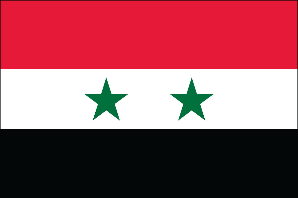 Image result for syria flag