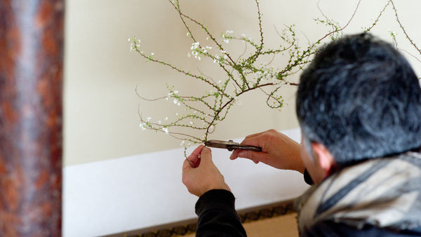 Man pruning an ikebana arrangement