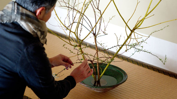 Man crafting an ikebana arrangement