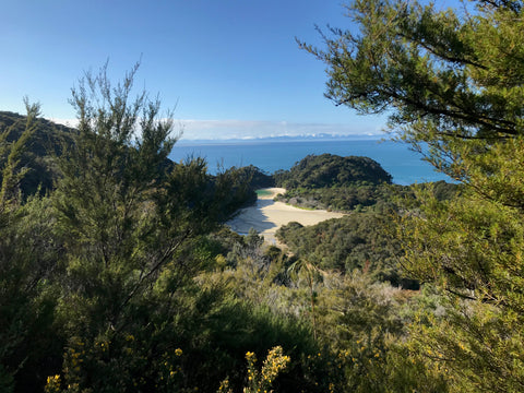 A view of forest and the sea with mountains in the distance. Abel Tasman National Park, New Zealand