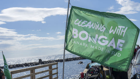 Il vento di giorno 17 marzo che fa sventolare la bandiera cleaning with bongae