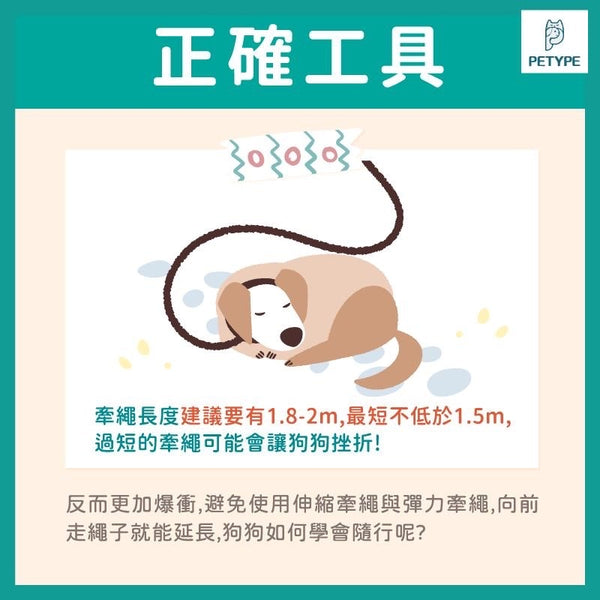 五件事讓狗狗不暴衝！正向訓練