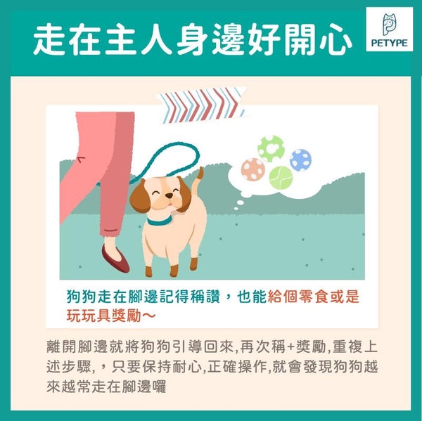 五件事讓狗狗不暴衝！正向訓練