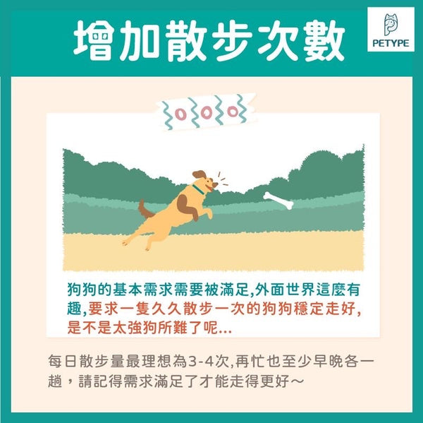 五件事讓狗狗不暴衝！正向訓練