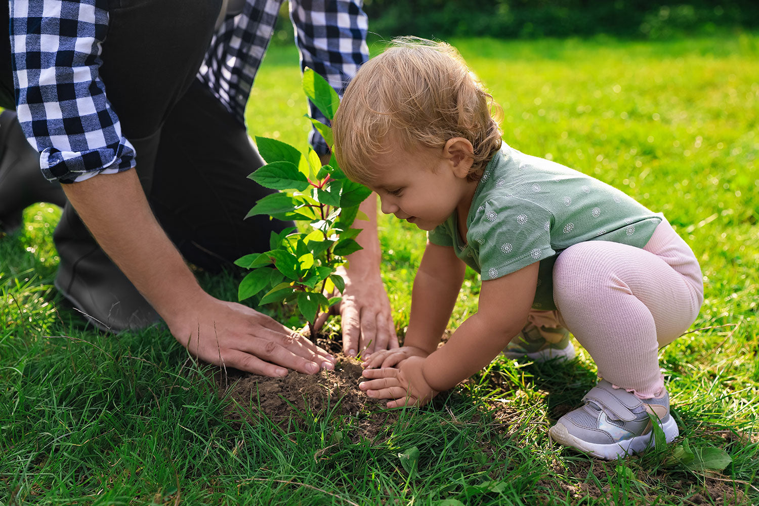 Father Planting a Tree With His Daughter