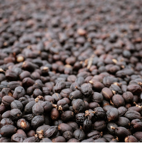 Natural Process in coffee beans