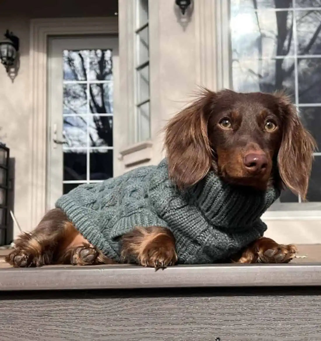 Dachshund Sweater