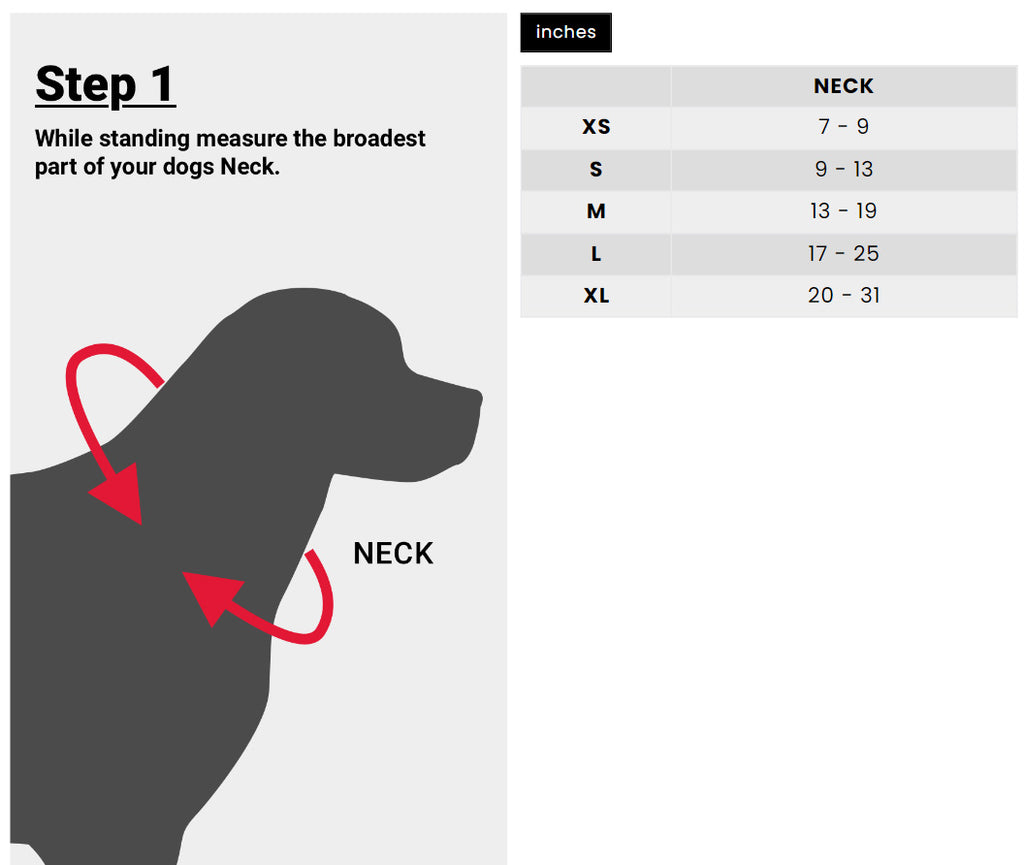 dog collar size chart