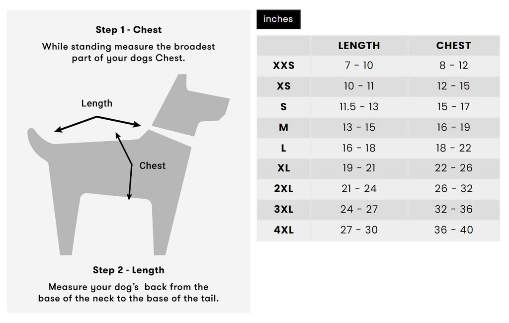 dog raincoat size chart