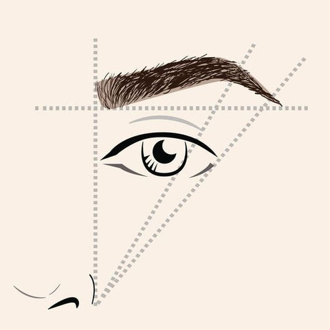 illustration of brow mapping 