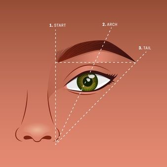 illustration showing guidelines from nose to eyebrow where brows should start, arch and end