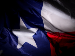 support texas business.jpeg__PID:f225ec63-e7e4-4770-82ea-969493fba32a